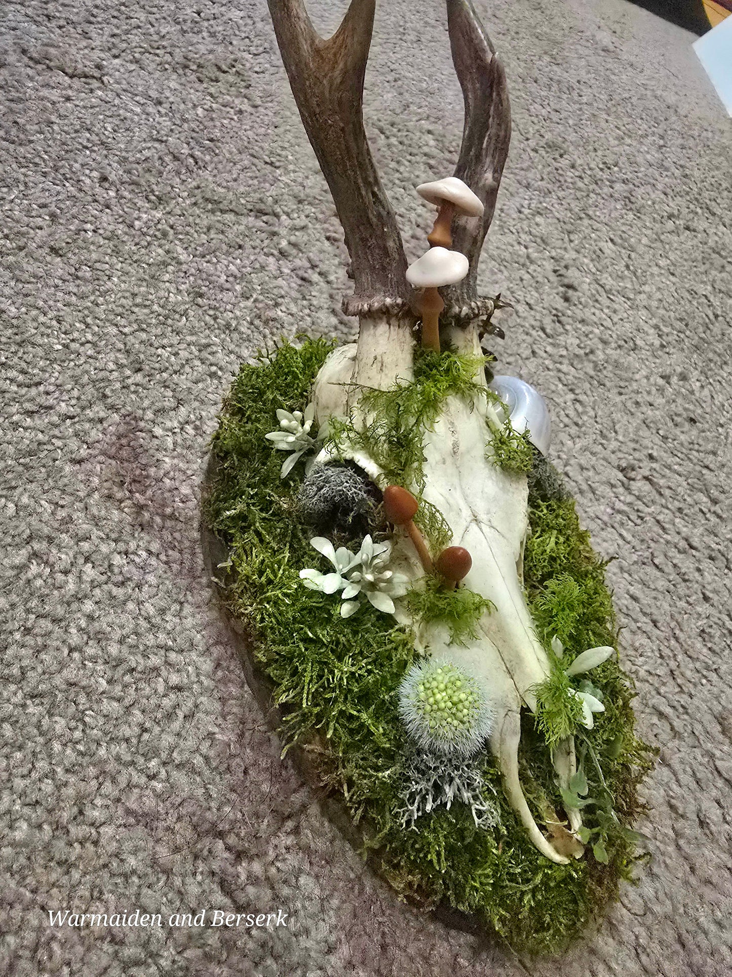 'Forest God' made of deer skull
