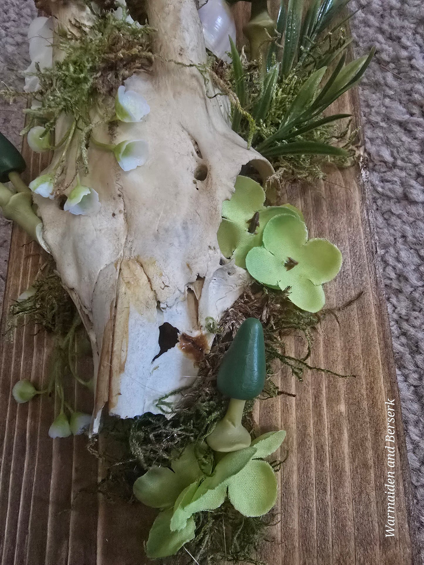 Fantasy wall decoration made of deer skull