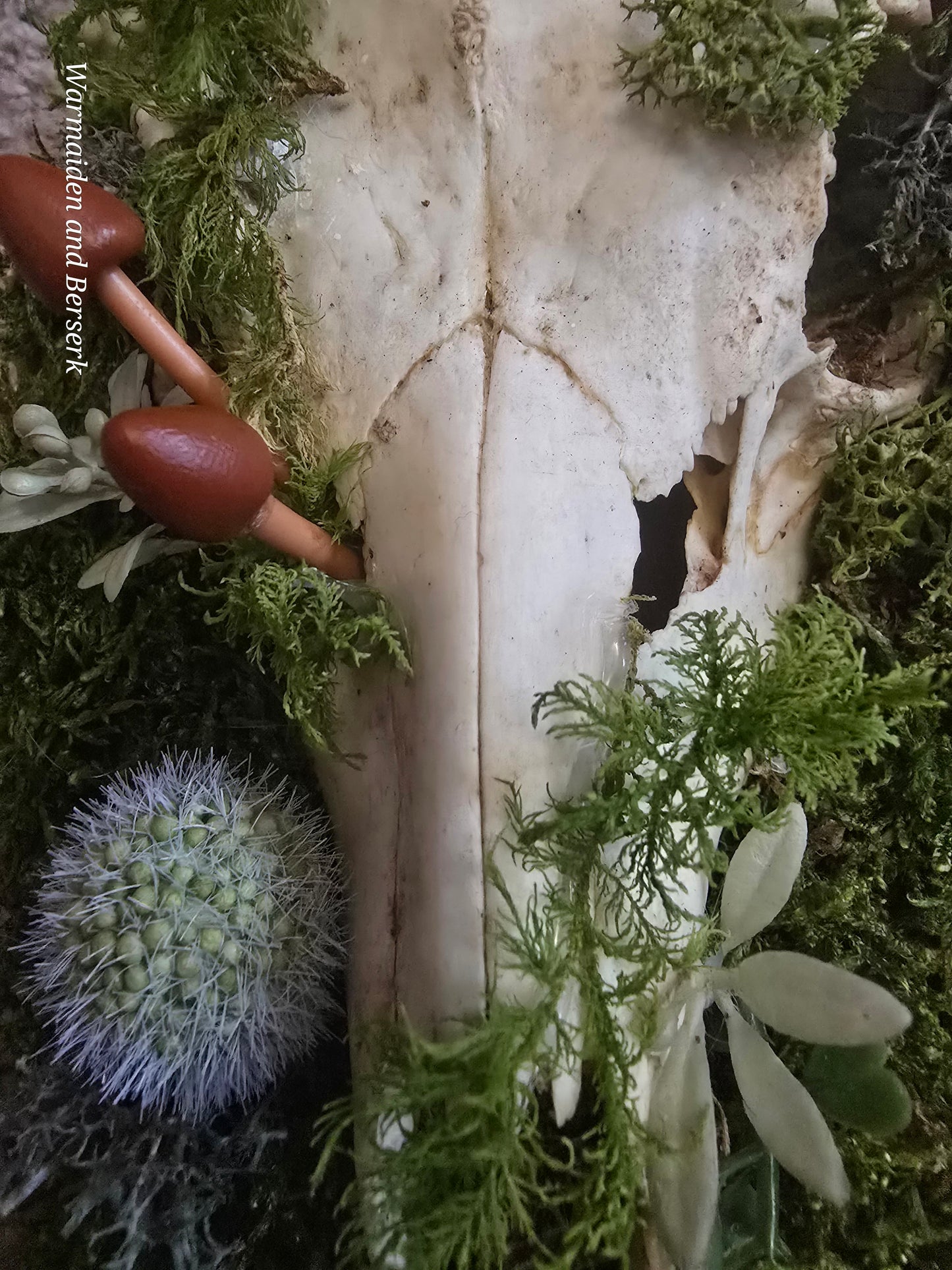 'Forest God' made of deer skull