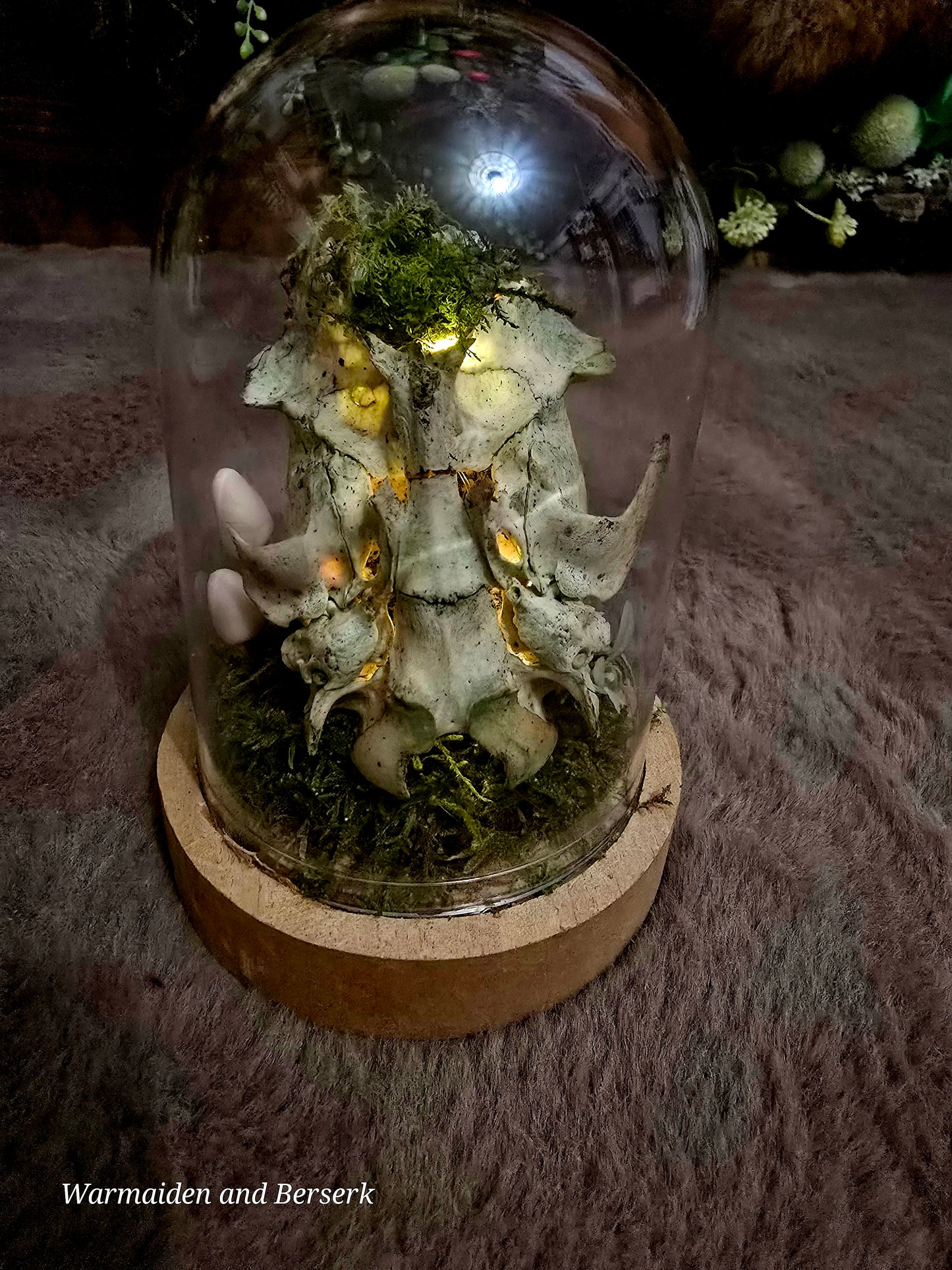 "Glass dome 'Forest Magic' - Mystical decor with animal bones and natural details"