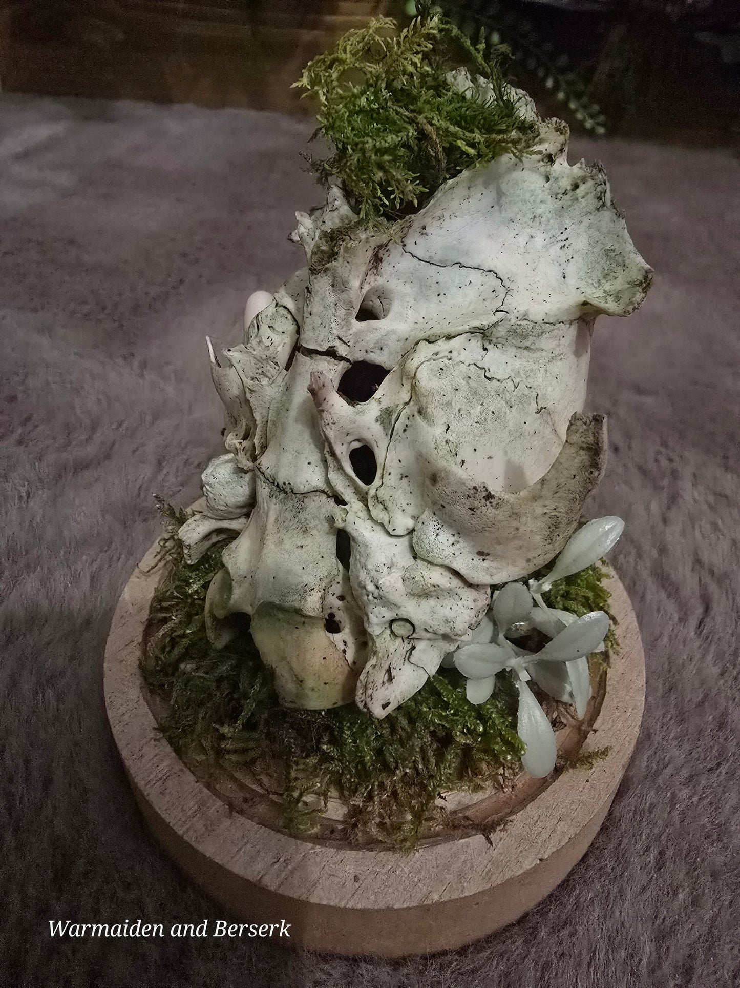 "Glass dome 'Forest Magic' - Mystical decor with animal bones and natural details"